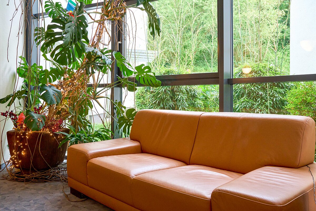 Sofa und Pflanze im Seniorenheim St. Pankratius