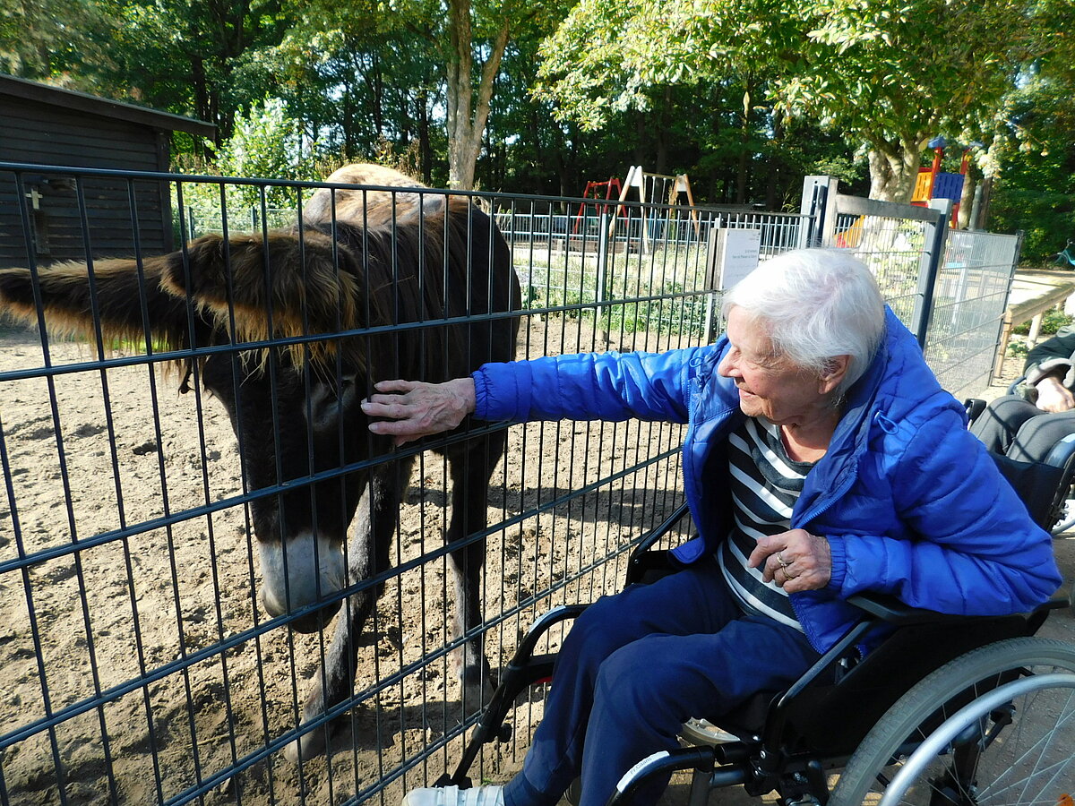 Tierpark Emsdetten 